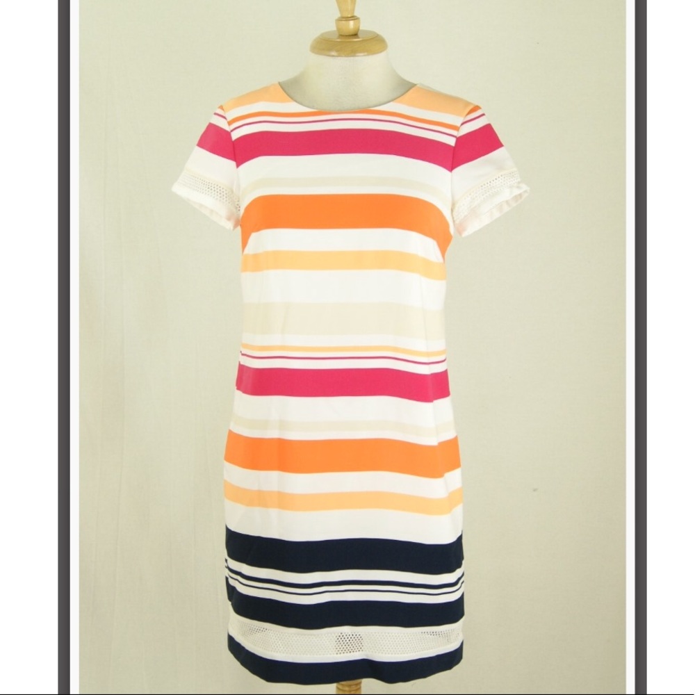 Jones New York Stripe Mesh Trim Shift Dress 4